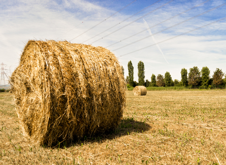 hay bale in field. rural image at the end of wheat cultivationの写真素材