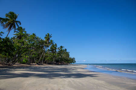 Tropical beach, Boipeba island, Brasiの写真素材