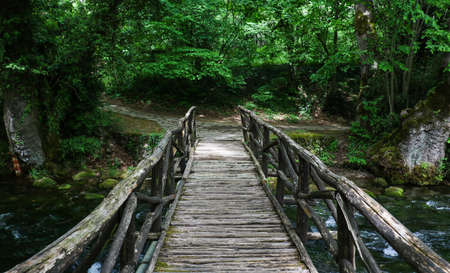 View on wooden bridge in green forest over wild riverの写真素材