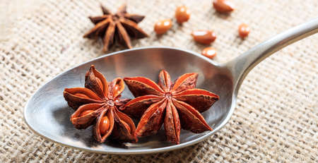 Dried star anise in a spoon on a sackclothの写真素材
