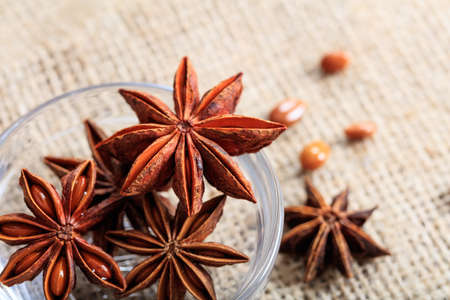 Dried star anises on a sackclothの写真素材