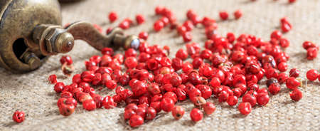 Dried red pepper spice on burlapの写真素材