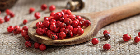 Red pepper seeds in a wooden spoonの写真素材