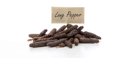 Long pepper seeds on white backgroundの写真素材