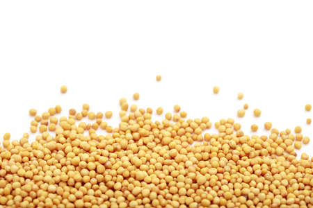 Mustard seeds on white backgroundの写真素材