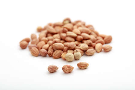 Mahlab seeds on white backgroundの写真素材