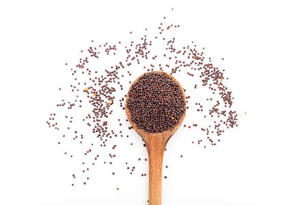 Dark mustard seeds on white backgroundの写真素材