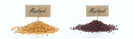 White and black mustard seeds on white backgroundの写真素材