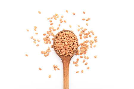 Mahlab seeds in a spoon on a white backgroundの写真素材
