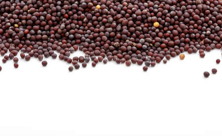 Dark mustard seeds on white backgroundの写真素材