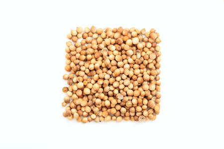 Coriander seeds on white backgroundの写真素材