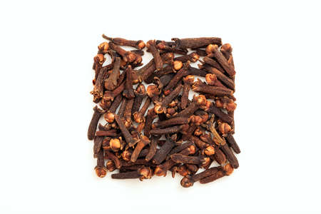 Clove seeds on white backgroundの写真素材