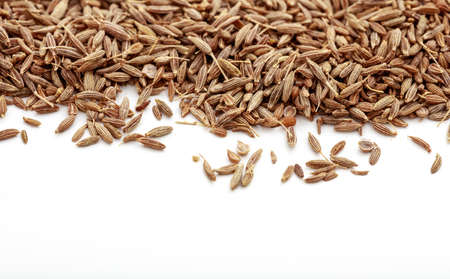 Cumin seeds on white backgroundの写真素材