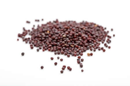 Dark mustard seeds on white backgroundの写真素材
