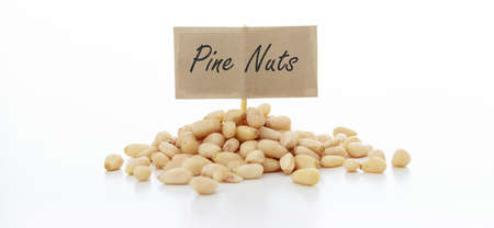 Pine seeds on white backgroundの写真素材