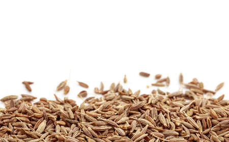 Cumin seeds on white backgroundの写真素材