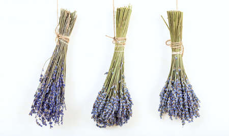 Three lavender bunches on white backgroundの写真素材