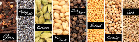 Various spice seeds collage with labelsの写真素材
