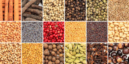 Various colorful spice seeds collageの写真素材