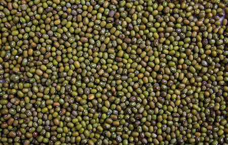 Green beans full background