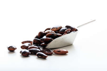 Raw lima beans in a metallic scoop on white background