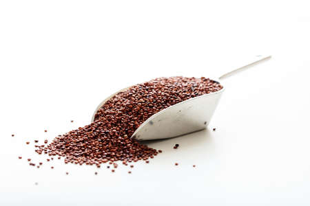 Red quinoa in a metallic scoop on white backgroundの写真素材