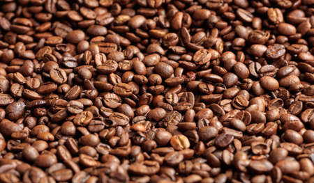 Coffee beans full backgroundの写真素材