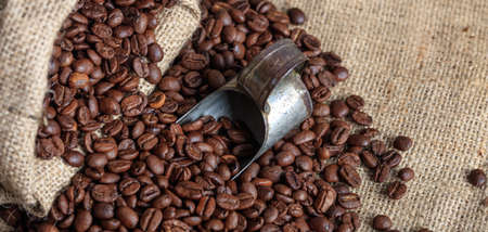 Coffee beans and an old scoopの写真素材