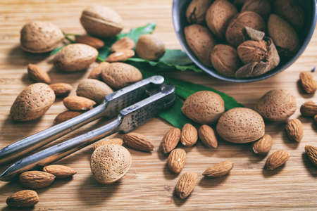 Almonds and an old nutcrackerの写真素材