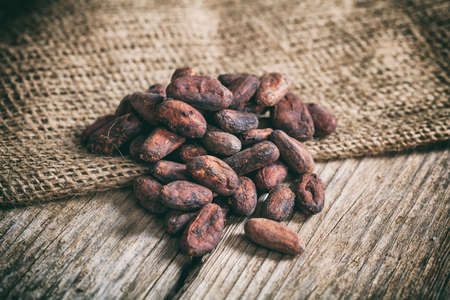 Cocoa beans and a burlapの写真素材