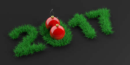 3d rendering 2017 in grass on black backgroundの写真素材