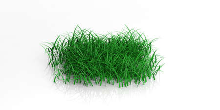 3d rendering green grass on white backgroundの写真素材