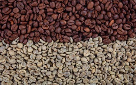 Green and black coffee beans backgroundの写真素材