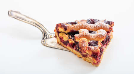 A piece of fruit tart on white backgroundの写真素材