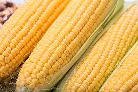 Fresh raw corns on a table