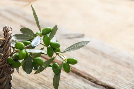 Olive twig on a basketの写真素材
