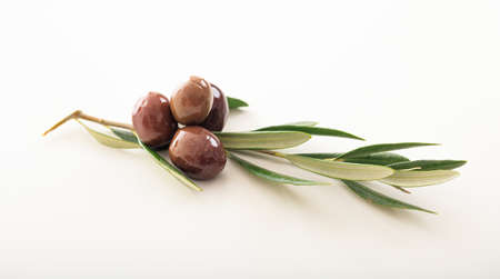 Olives and olive branch isolated on white backgroundの写真素材