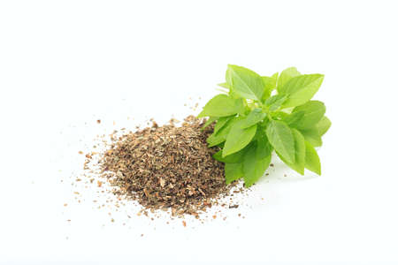 Fresh and dried basil on white backgroundの写真素材