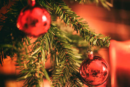 Christmas tree near a fireplaceの写真素材