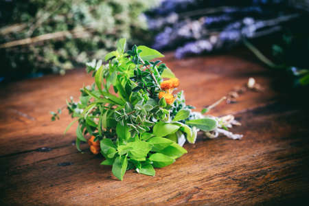 Variety of fresh herbs on wooden backgroundの写真素材