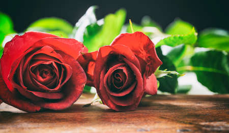 Red roses close up on wooden tableの写真素材