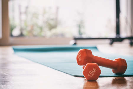 Pair of orange dumbbells on a wooden floorの写真素材