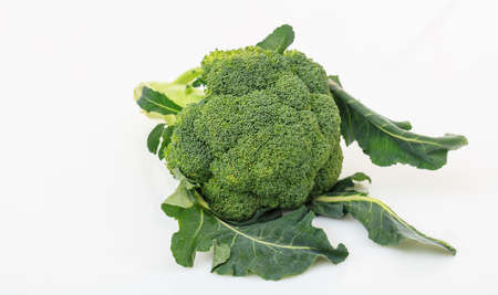 Raw fresh broccoli isolated on white backgroundの写真素材