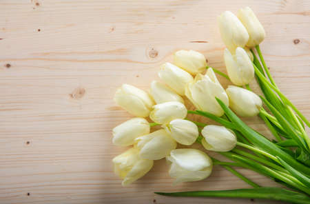White tulips on wooden background with copy spaceの写真素材
