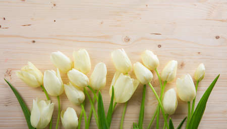 White tulips on wooden background with copy spaceの写真素材