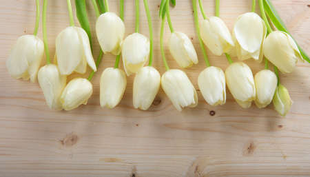White tulips on wooden background with copy spaceの写真素材