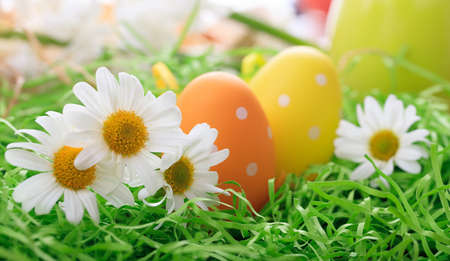 Variety of colorful Easter eggs on grassの写真素材