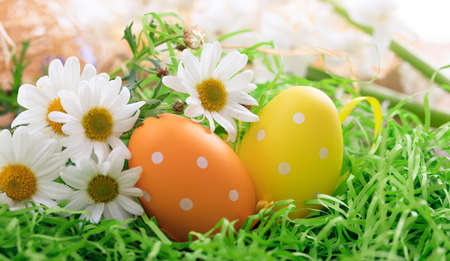 Variety of colorful Easter eggs on grassの写真素材