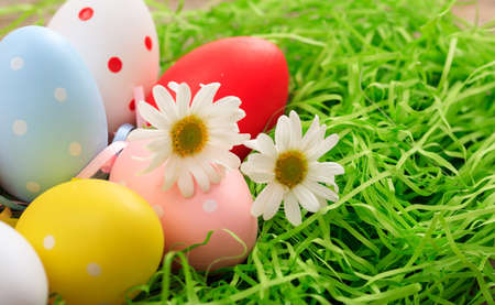 Variety of colorful Easter eggs on grassの写真素材