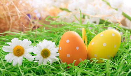 Variety of colorful Easter eggs on grassの写真素材